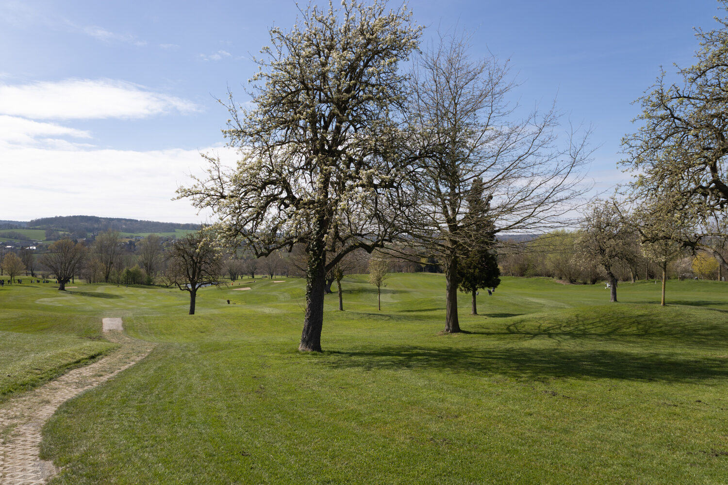 Wiesen und Natur am Mergelhof